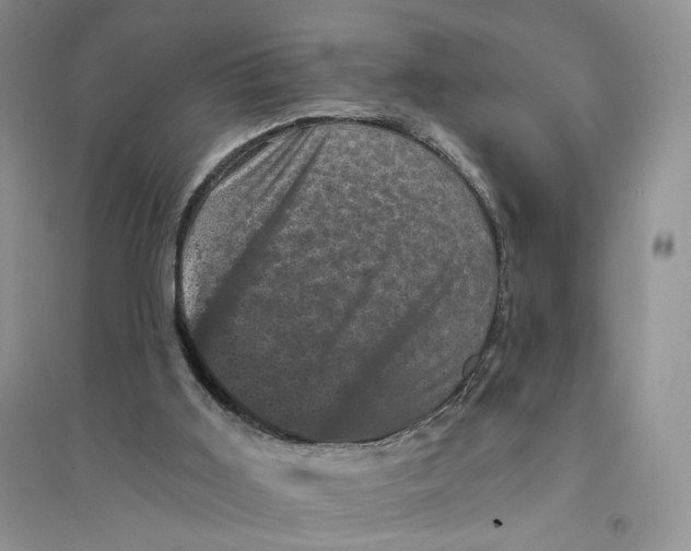 X0000094440011200711291647