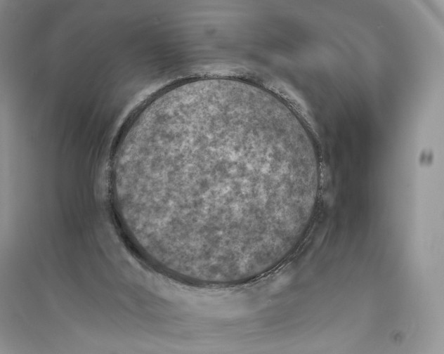 X0000094440012200711291647