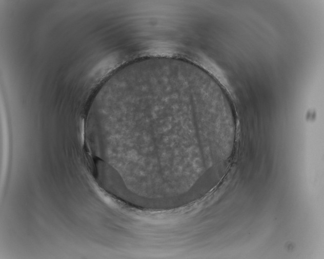 X0000094440013200711291647