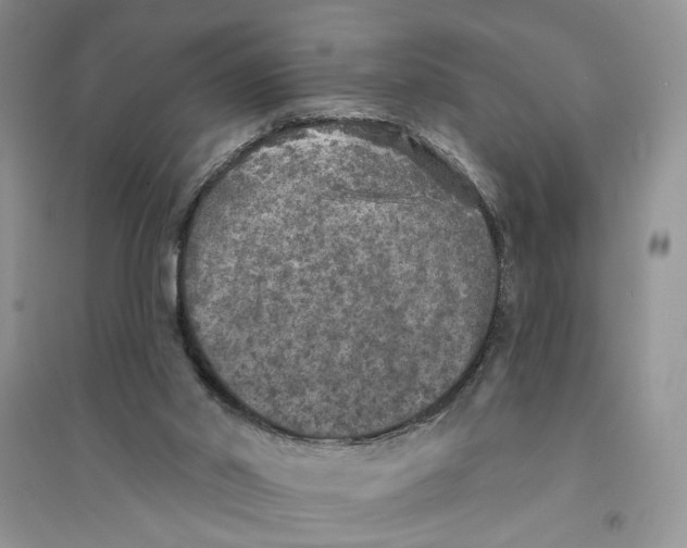 X0000094440014200711291647