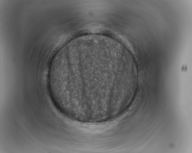 X0000094440018200711291647