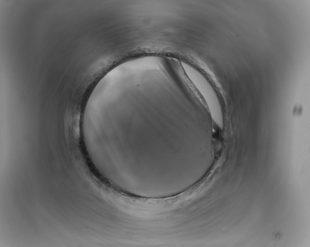 X0000094440019200711291647