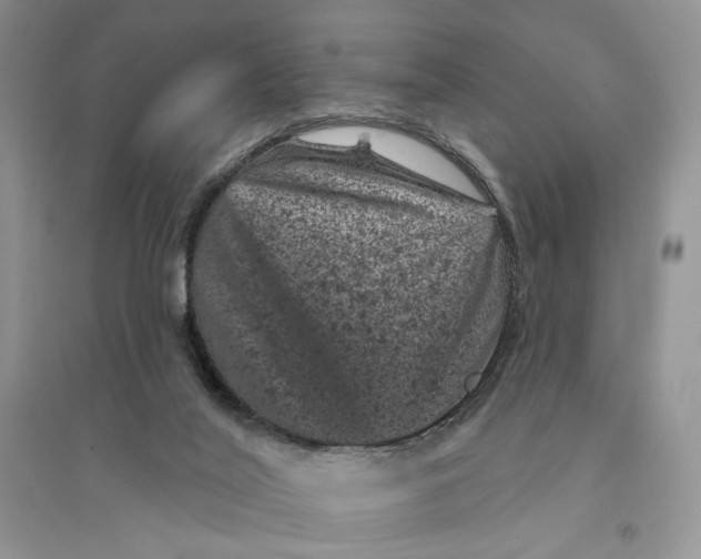 X0000094440020200711291647