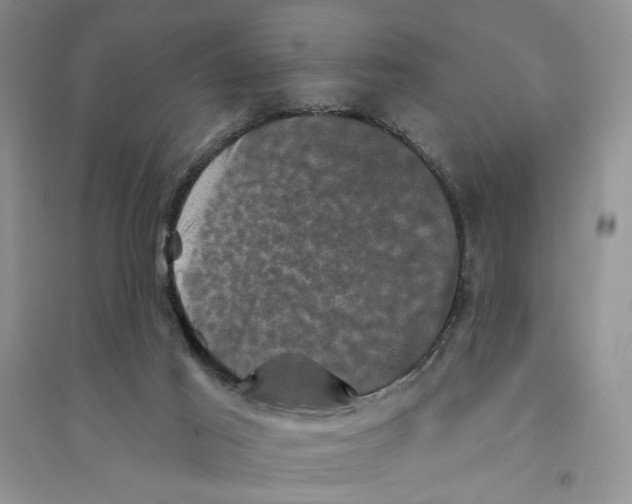 X0000094440021200711291647