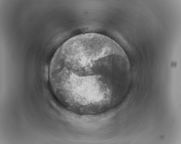 X0000094440022200711291647