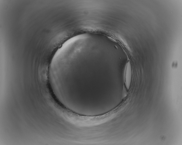 X0000094440023200711291647