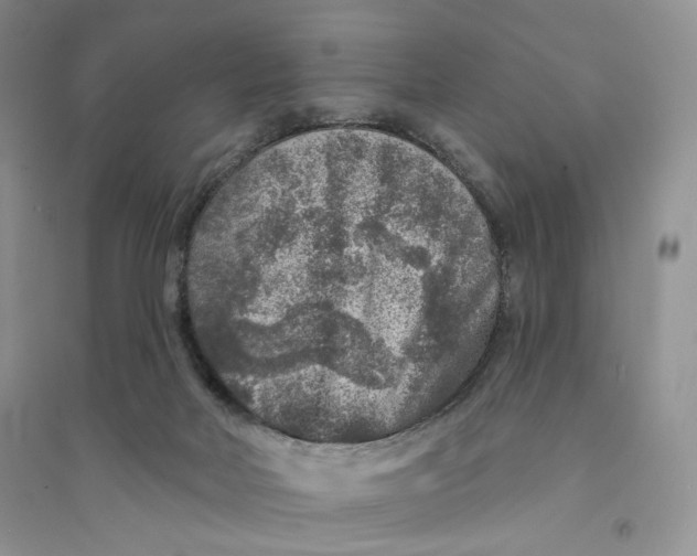 X0000094440026200711291646