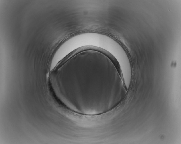 X0000094440027200711291646