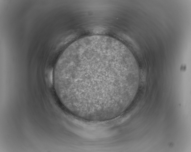 X0000094440028200711291646