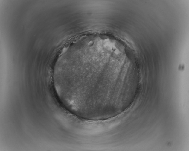 X0000094440029200711291646