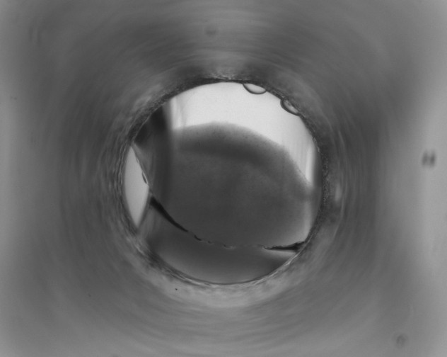 X0000094440031200711291646