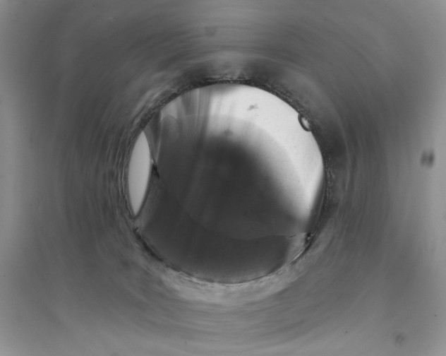 X0000094440035200711291646