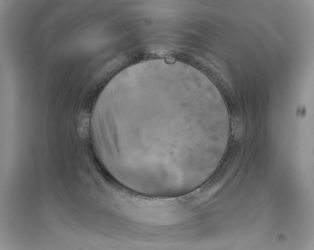 X0000094440036200711291646