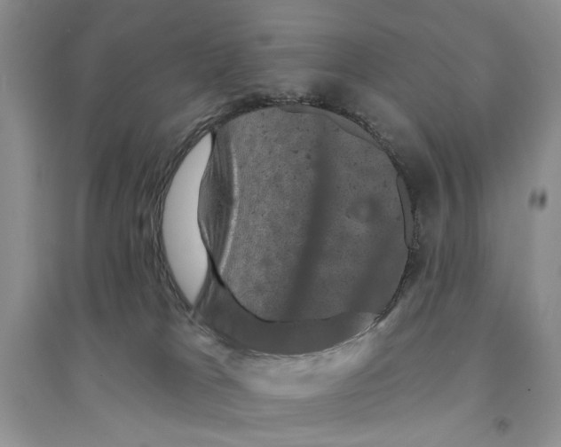 X0000094440037200711291646