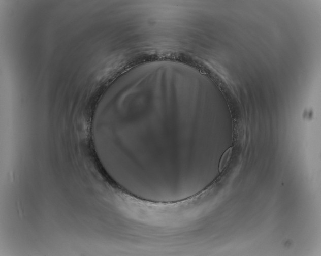 X0000094440039200711291646