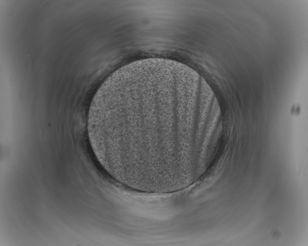 X0000094440040200711291646