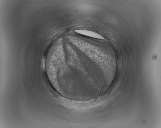 X0000094440042200711291646