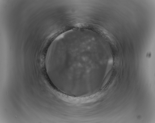 X0000094440043200711291646