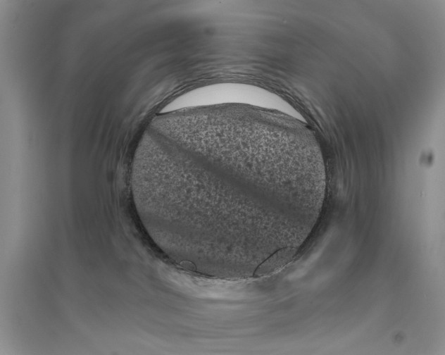 X0000094440044200711291646