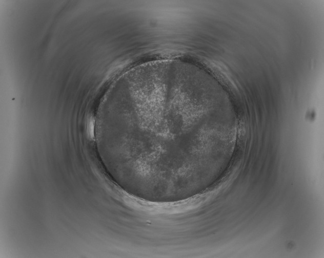 X0000094440046200711291646