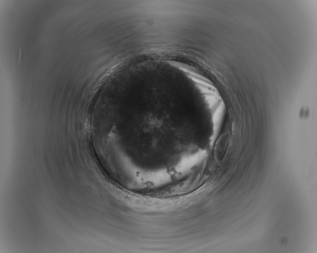 X0000094440048200711291646