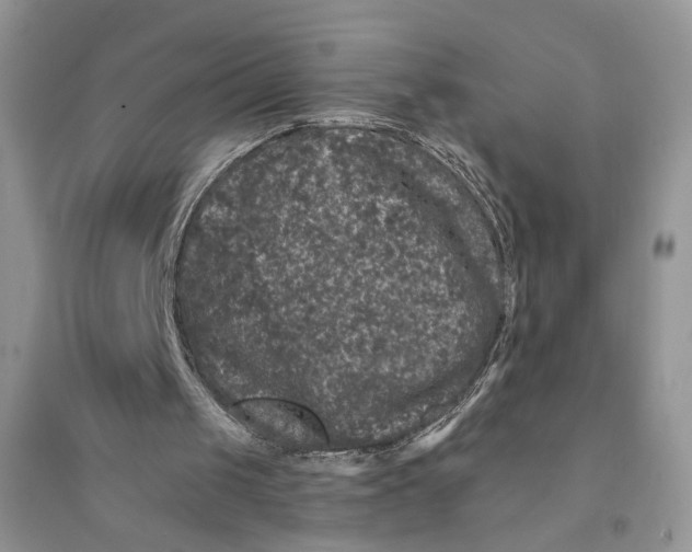 X0000094440049200711291646