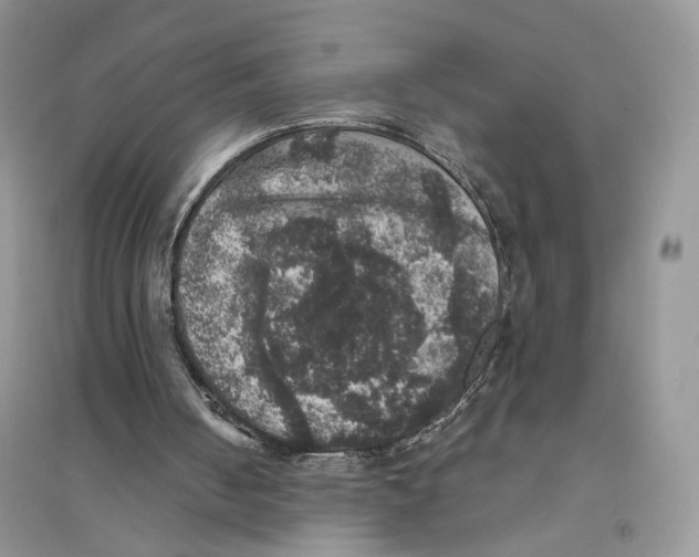 X0000094440050200711291646