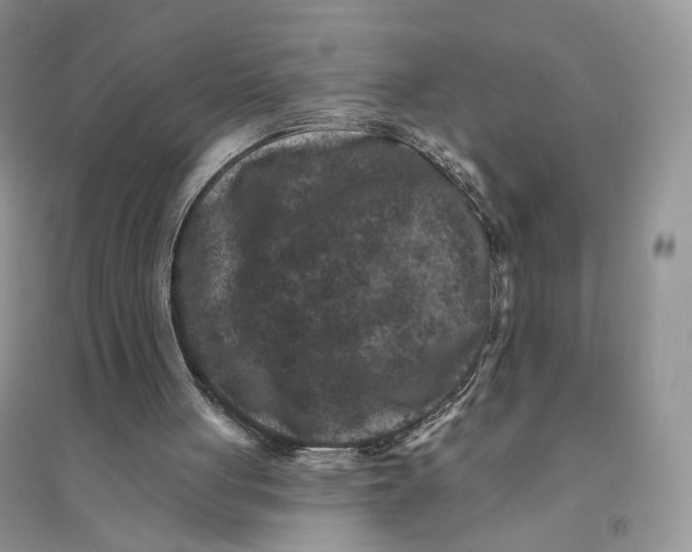 X0000094440051200711291646