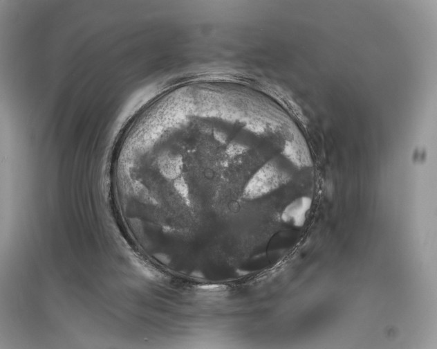 X0000094440053200711291646