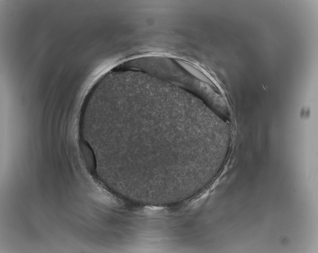 X0000094440055200711291646