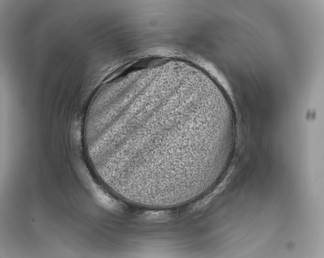 X0000094440057200711291646