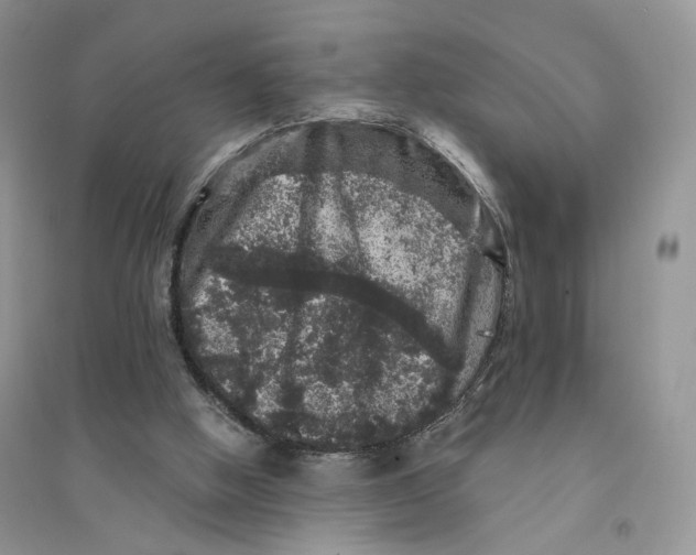 X0000094440058200711291646