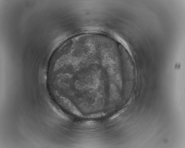 X0000094440059200711291646