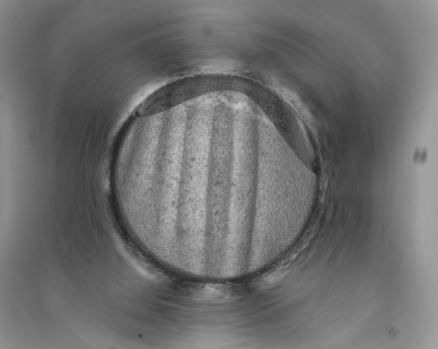 X0000094440060200711291646