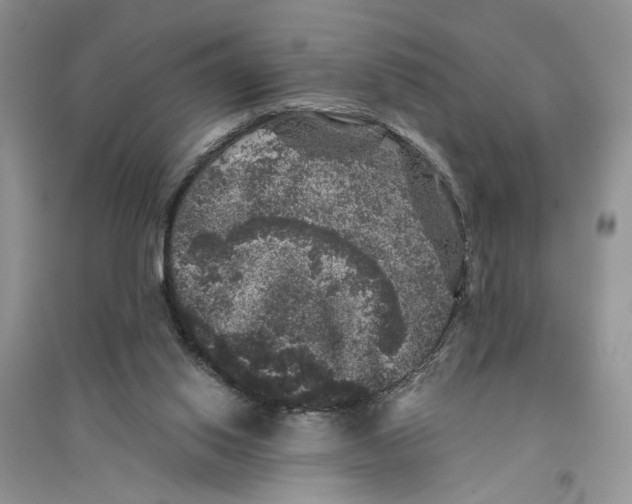 X0000094440062200711291646