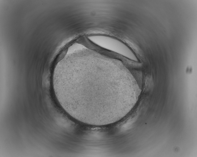 X0000094440064200711291646