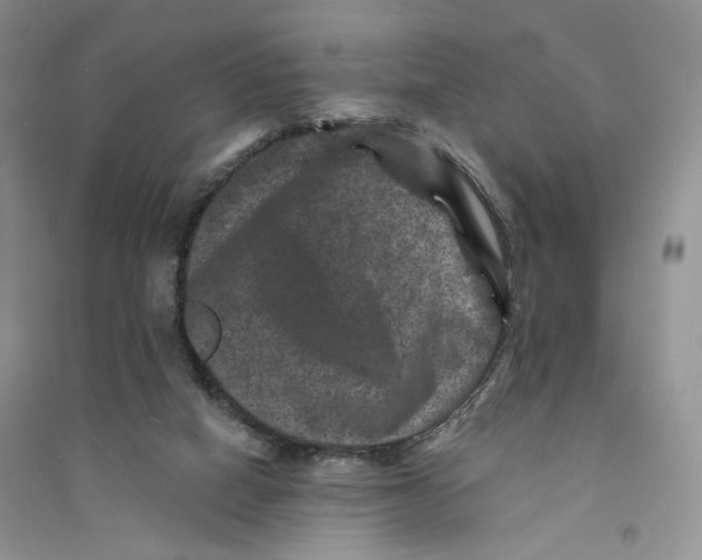 X0000094440066200711291646