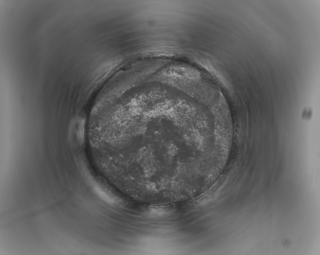 X0000094440070200711291646