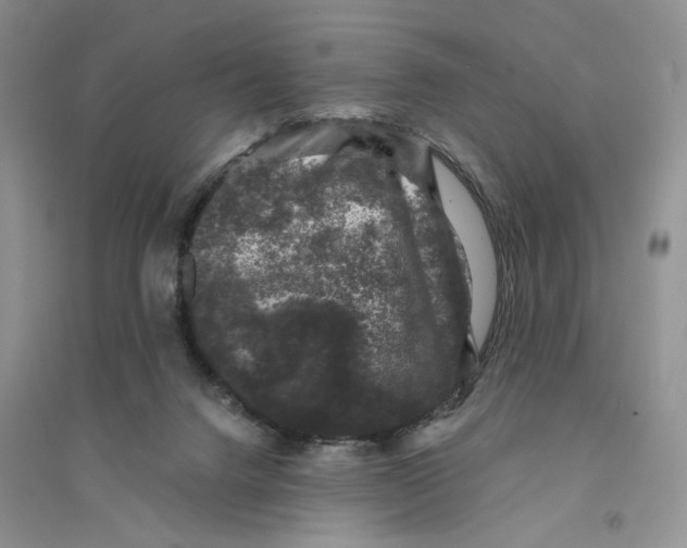 X0000094440072200711291646