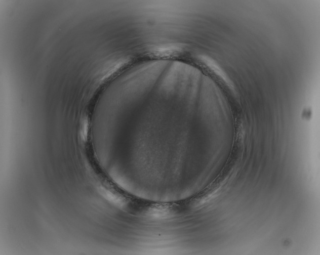 X0000094440076200711291646