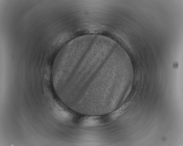 X0000094440078200711291646