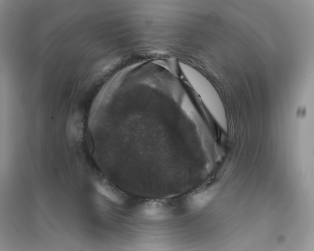 X0000094440080200711291646