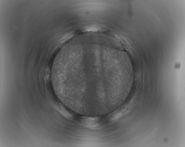 X0000094440081200711291646