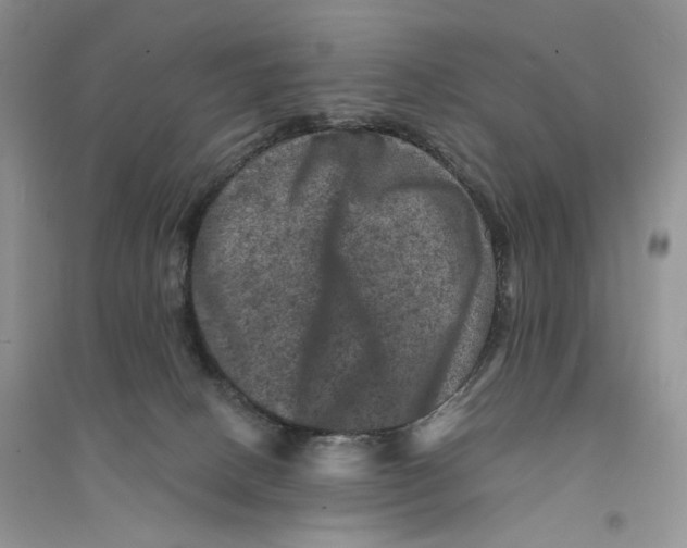 X0000094440082200711291646