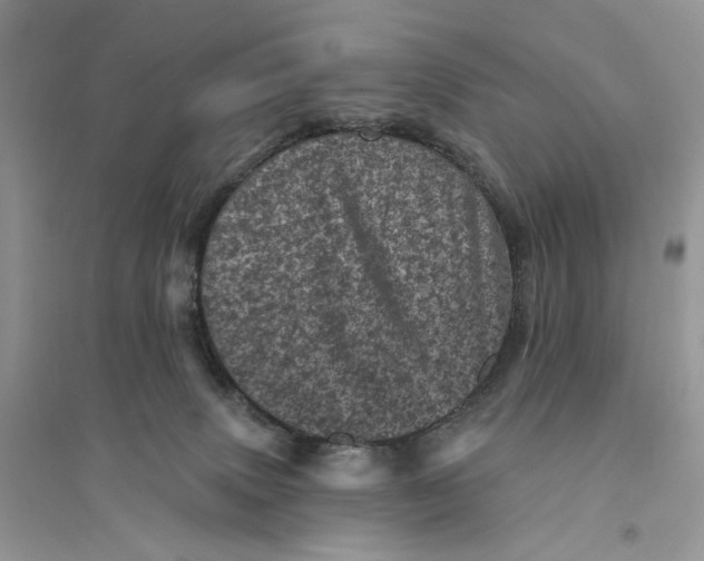 X0000094440083200711291646