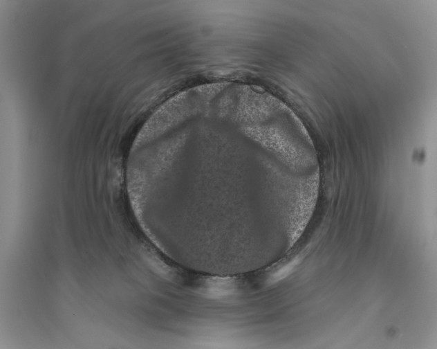 X0000094440085200711291646