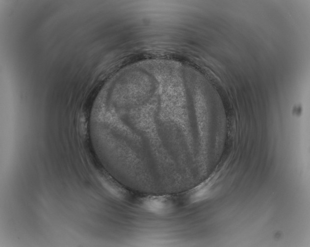 X0000094440086200711291646