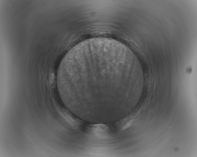 X0000094440087200711291646