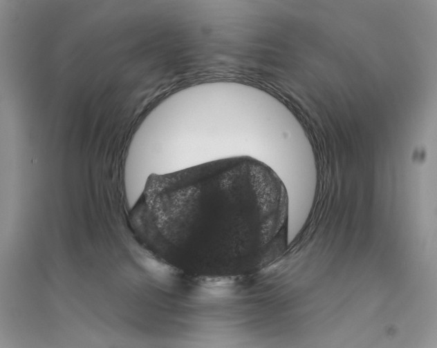 X0000094440088200711291646