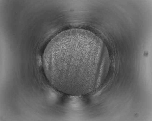 X0000094440089200711291646